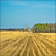 Image for article titled New Analysis Suggests GMOs Can Be A Very Good Thing